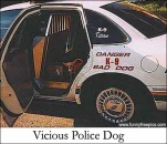funny-picture-4579