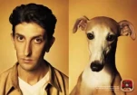 funny-picture-872