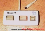 funny-picture-4966