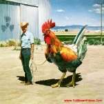 funny-picture-1463