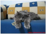 funny-picture-2246