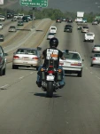 funny-picture-4130