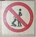 funny-picture-1537