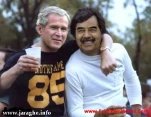 funny-picture-3779