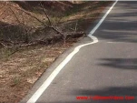 funny-picture-3677