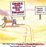 funny-picture-760