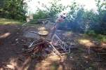 funny-picture-4266