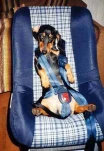 funny-picture-3018