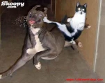 funny-picture-2781