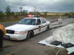 funny-picture-2573