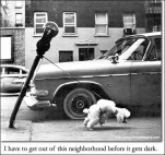 funny-picture-379