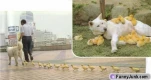 funny-picture-4811