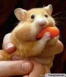 funny-picture-4181