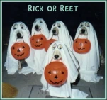 funny-picture-4087