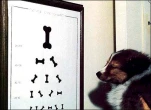 funny-picture-3072