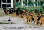 funny-picture-2841