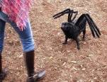 funny-picture-3388