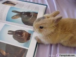 funny-picture-2219
