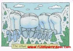 funny-picture-3277