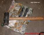 funny-picture-1570