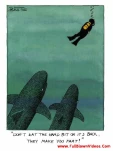 funny-picture-1525