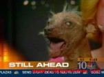 funny-picture-2848