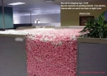 funny-picture-3059