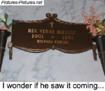 funny-picture-1742