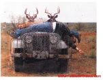funny-picture-2522