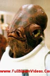 funny-picture-2909