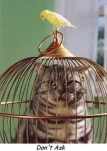 funny-picture-5168