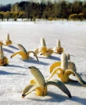 funny-picture-1772