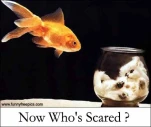 funny-picture-3678