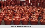 funny-picture-1185