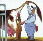 funny-picture-5234
