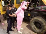 funny-picture-3158