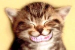 funny-picture-3581