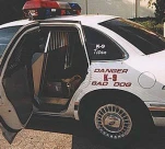 funny-picture-3111