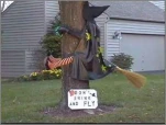 funny-picture-3680