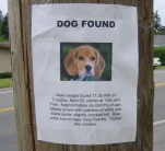 funny-picture-3311