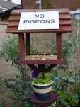 funny-picture-2205