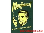 funny-picture-4845