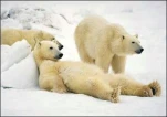 funny-picture-203