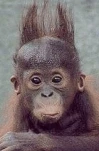 funny-picture-4792
