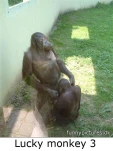 funny-picture-3650