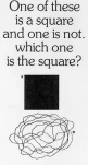 funny-picture-5069