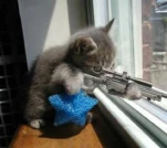 funny-picture-3403