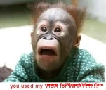 funny-picture-2719
