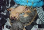 funny-picture-2322