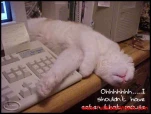 funny-picture-3832